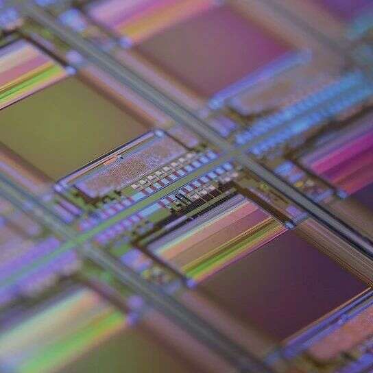 “能让英伟达输很惨的，也就只有美国政府”