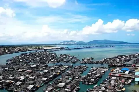 短剧、游戏动漫、数字传媒多点开花 这座名不见经传的海南小县城把“文化出海”拿捏住了