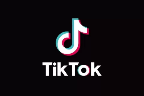 刚刚，Tiktok干了一件大事：给超过1.7 亿美国用户弹窗！