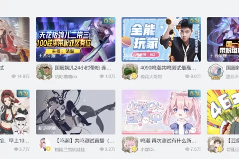 新游开团乱战，为何我仍看好《鸣潮》？