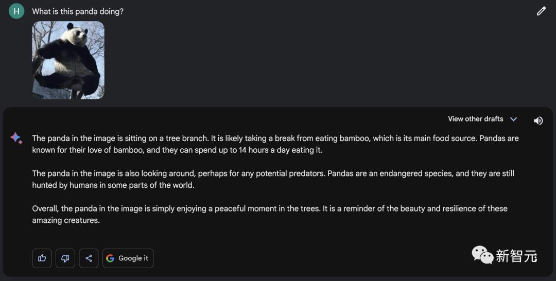 谷歌Bard支持中文了！十级过关，看懂梗图，直接上手免费体验