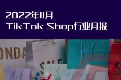 行业报告 | 2022年11月TikTok Shop行业月报