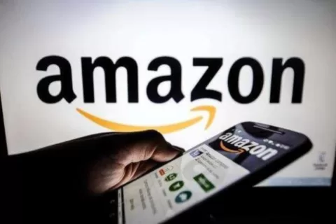 以下犯上？亚马逊和eBay“强迫”印度政府改变对外贸易政策