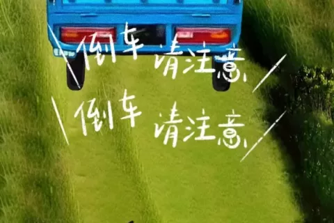 万万没想到，中国县城里的三蹦子，已经征服美国人