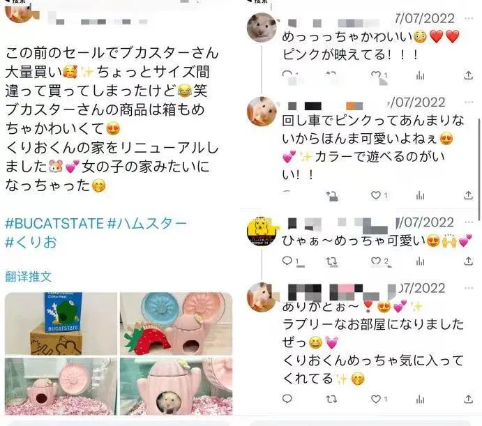 别总盯着猫猫狗狗，小宠物用品出海也是门大生意