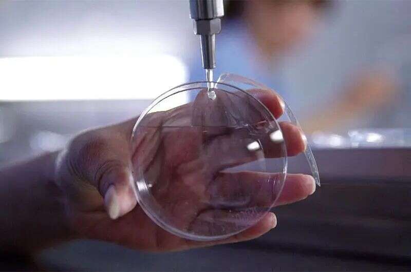 DTC品牌Polette：年售5亿的商业神话，增长秘笈是什么？