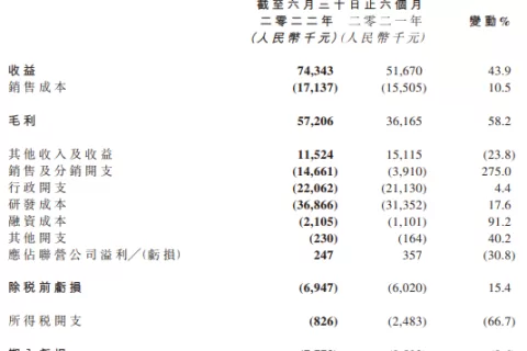 飞鱼上半年收入7434万，增长44%