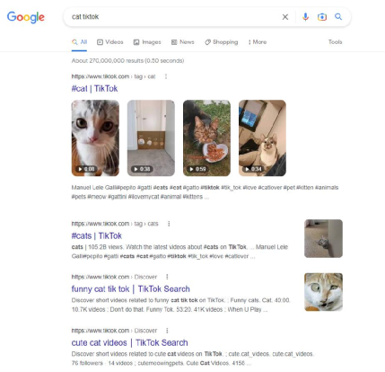 TikTok也能做SEO? TikTok SEO获取精准搜索流量方法!