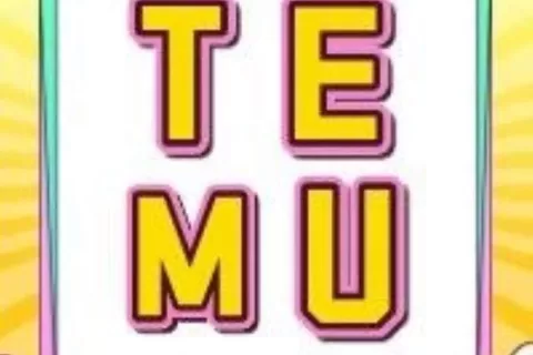 登陆南美！Temu新开智利站