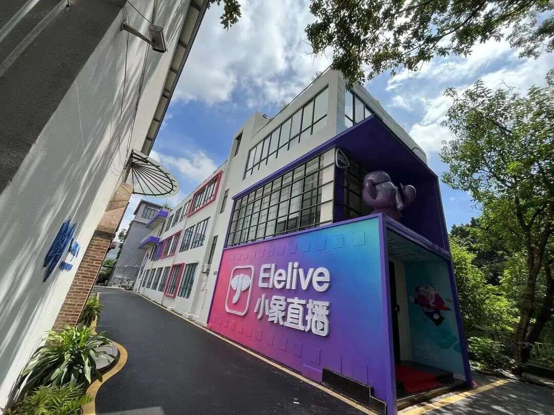 出海英雄帖 | 小象直播招聘专场，期待您的加入！