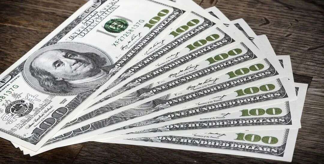 钱“兔”似锦！亚马逊美国站最赚钱的5大类别值得关注