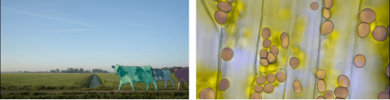 Meta发布通用图像分割SAM模型：计算机视觉领域的“GPT-3时刻”到来？| 「共同虚拟」案例库