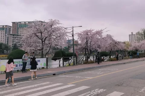 那年今日，出海人的高考、求学和人生选择