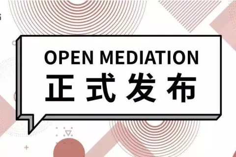 重磅：新手出海流量变现难！这家知名广告平台