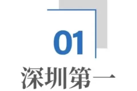 跨境电商，深圳杀疯了