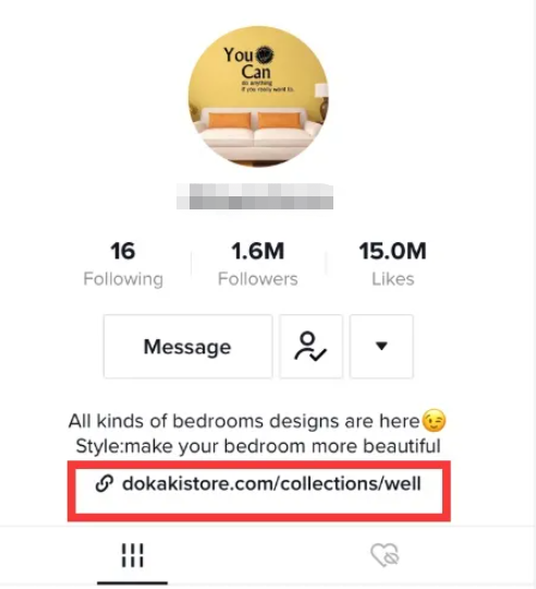 Tik Tok将关闭美国半闭环模式，全力发展电商业务