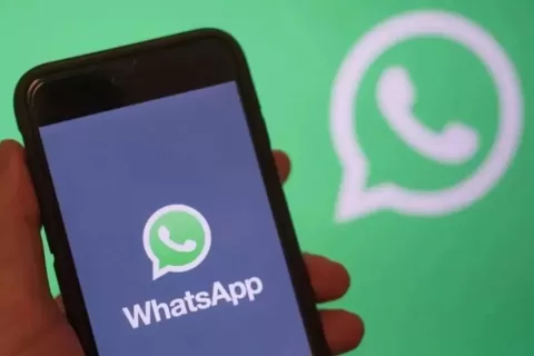 带你解析WhatsApp群发封号机制与WhatsApp号类型详解