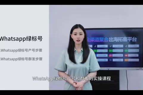 WhatsApp无限生产绿标号、群发5000-30000条陌生私信