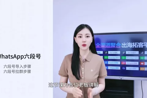 WhatsApp六段号营销：利用六段号资源构建WhatsApp私域流量，提升转化率