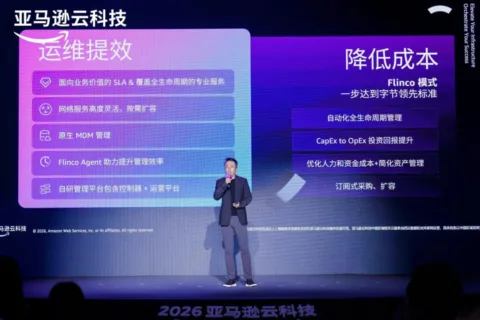 从10数家出海冠军看2026年生存法则